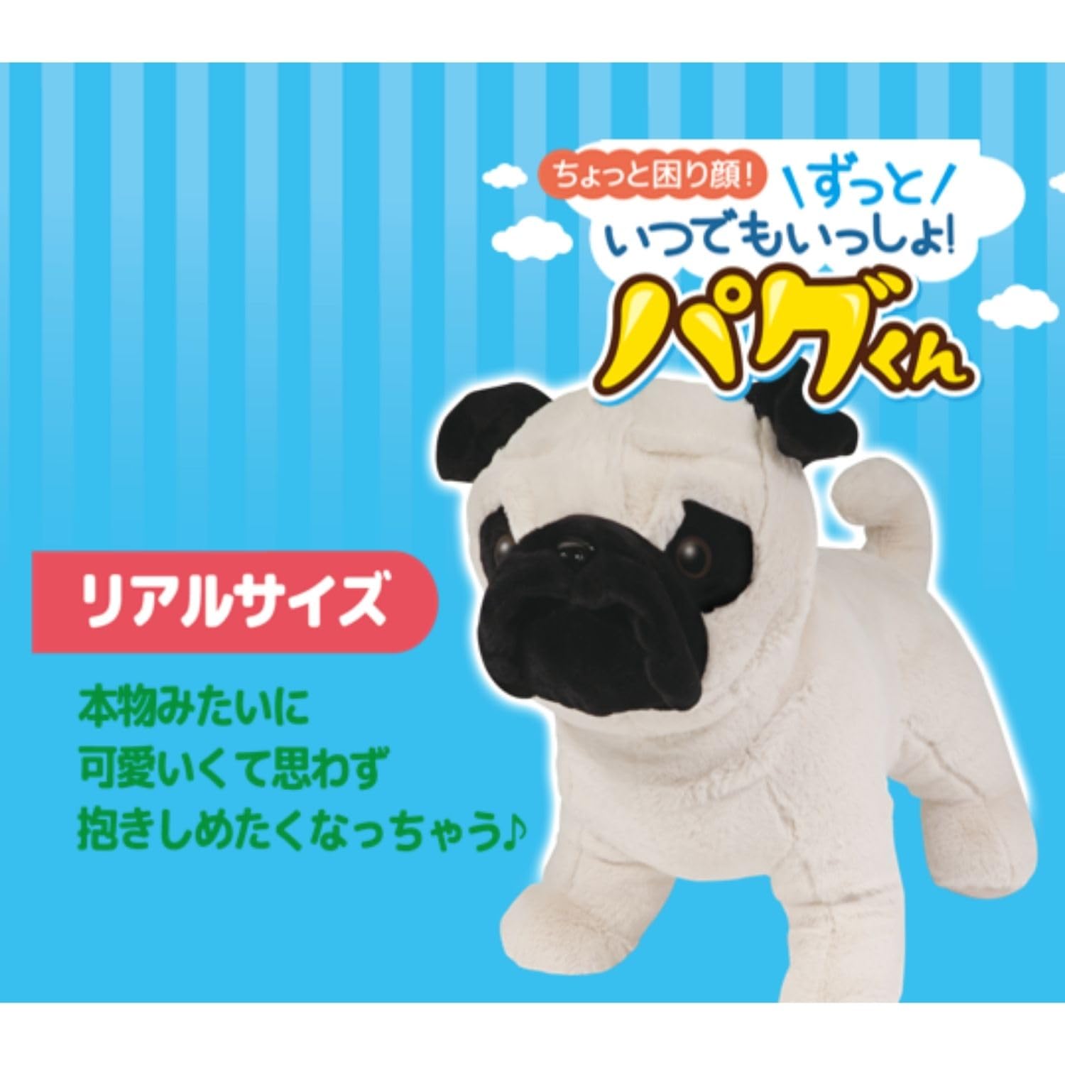 Amazon.co.jp: HAC(ハック) ずっといつでもいっしょ！パグくん 45cm